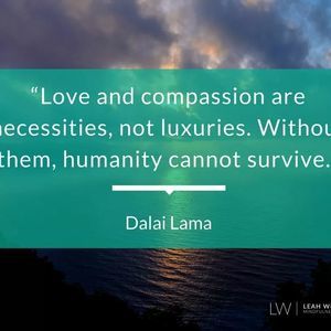 Meet your Posher, Lucy